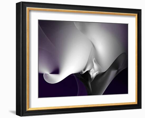 Seductive I-Alan Hausenflock-Framed Art Print