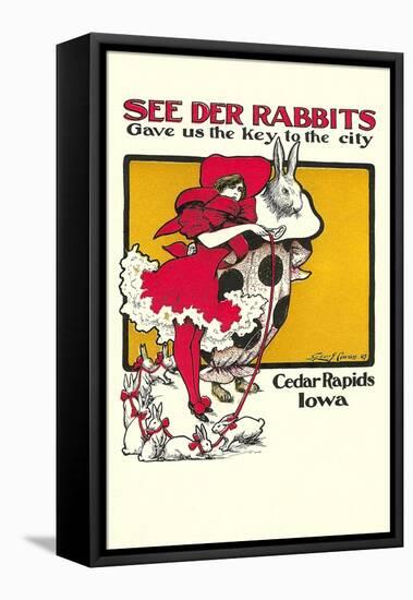 See Der Rabbits, Cedar Rapids, Iowa-null-Framed Stretched Canvas