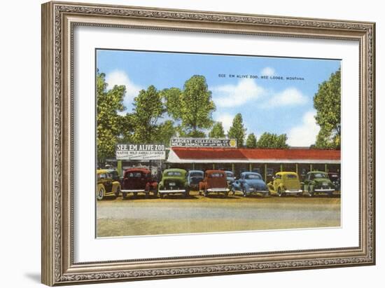 See 'Em Alive Zoo, Red Lodge, Montana-null-Framed Premium Giclee Print