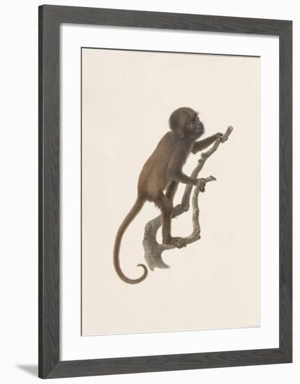 See No Evil-The Vintage Collection-Framed Art Print