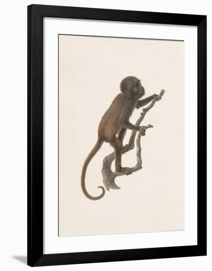 See No Evil-The Vintage Collection-Framed Art Print