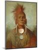 See-non-ty-a, an Iowya Medicine Man, by George Catlin, 1844-45, American painting,-George Catlin-Mounted Art Print
