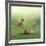 See Saw-Nancy Tillman-Framed Giclee Print