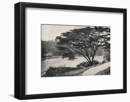 See, Tempel des Heiligen Zahnes und Bibliothek in Kandy, vom Viktoria-Drive ach Osten gesehen-Unknown-Framed Photographic Print