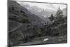 Seeber Alp in the Seeber Valley, Passeier Valley, Alps, South Tirol-Rolf Roeckl-Mounted Photographic Print