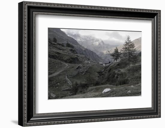 Seeber Alp in the Seeber Valley, Passeier Valley, Alps, South Tirol-Rolf Roeckl-Framed Photographic Print