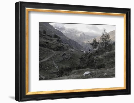 Seeber Alp in the Seeber Valley, Passeier Valley, Alps, South Tirol-Rolf Roeckl-Framed Photographic Print