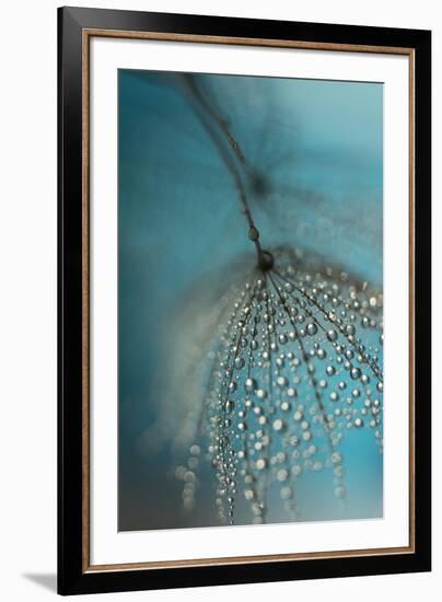 Seed and drops-Heidi Westum-Framed Photographic Print