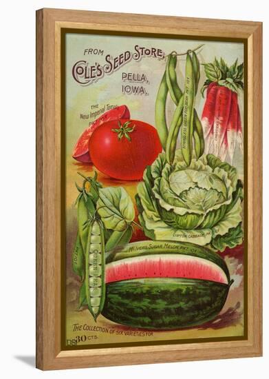 Seed Catalog Captions (2012): Cole’s Seed Store, Pella, Iowa, Garden, Farm and Flower Seeds, 1896-null-Framed Stretched Canvas