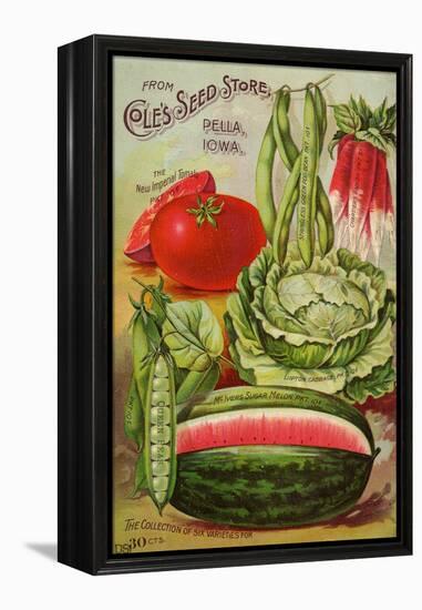 Seed Catalog Captions (2012): Cole’s Seed Store, Pella, Iowa, Garden, Farm and Flower Seeds, 1896-null-Framed Stretched Canvas