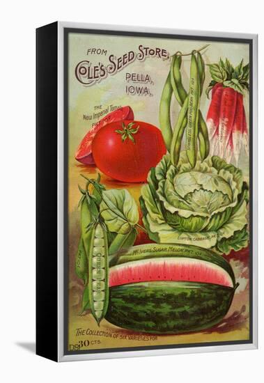 Seed Catalog Captions (2012): Cole’s Seed Store, Pella, Iowa, Garden, Farm and Flower Seeds, 1896-null-Framed Stretched Canvas