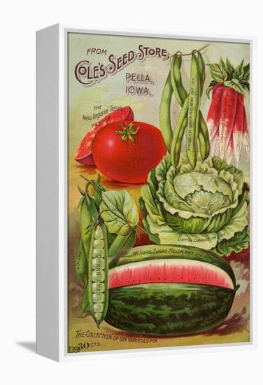 Seed Catalog Captions (2012): Cole’s Seed Store, Pella, Iowa, Garden, Farm and Flower Seeds, 1896-null-Framed Stretched Canvas