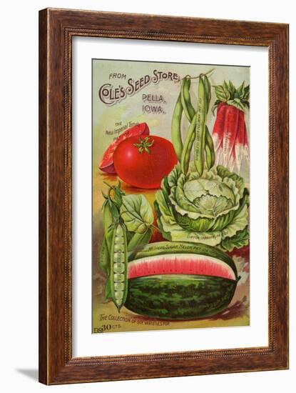 Seed Catalog Captions (2012): Cole’s Seed Store, Pella, Iowa, Garden, Farm and Flower Seeds, 1896-null-Framed Premium Giclee Print