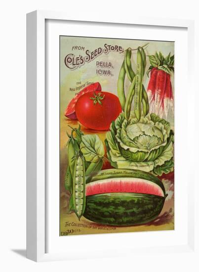 Seed Catalog Captions (2012): Cole’s Seed Store, Pella, Iowa, Garden, Farm and Flower Seeds, 1896-null-Framed Premium Giclee Print