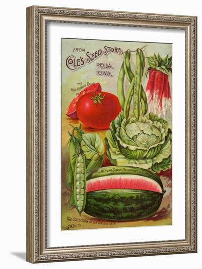 Seed Catalog Captions (2012): Cole’s Seed Store, Pella, Iowa, Garden, Farm and Flower Seeds, 1896--Framed Art Print
