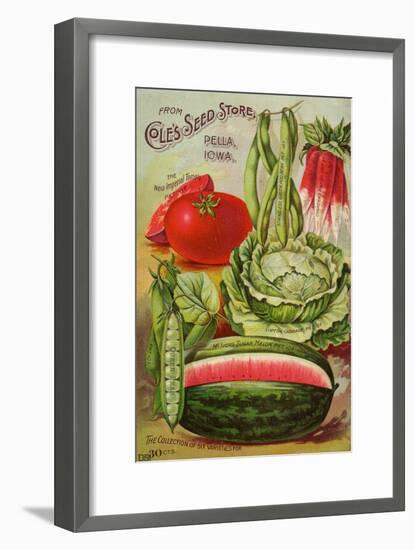 Seed Catalog Captions (2012): Cole’s Seed Store, Pella, Iowa, Garden, Farm and Flower Seeds, 1896-null-Framed Art Print