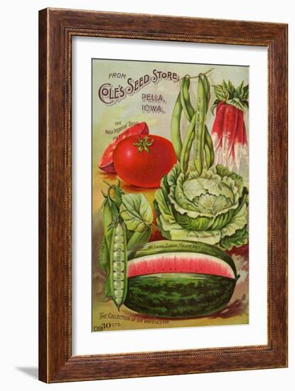 Seed Catalog Captions (2012): Cole’s Seed Store, Pella, Iowa, Garden, Farm and Flower Seeds, 1896-null-Framed Art Print