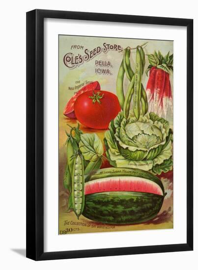 Seed Catalog Captions (2012): Cole’s Seed Store, Pella, Iowa, Garden, Farm and Flower Seeds, 1896-null-Framed Art Print