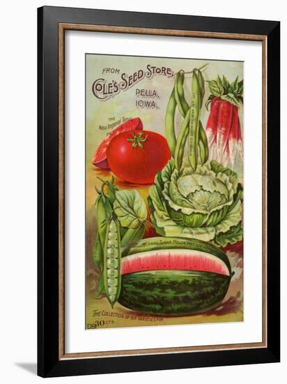 Seed Catalog Captions (2012): Cole’s Seed Store, Pella, Iowa, Garden, Farm and Flower Seeds, 1896-null-Framed Art Print