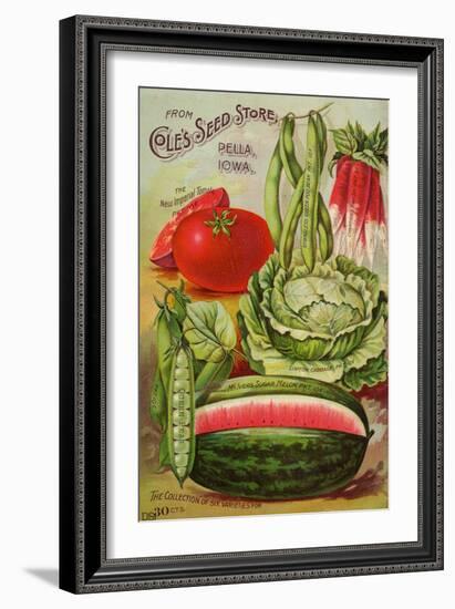 Seed Catalog Captions (2012): Cole’s Seed Store, Pella, Iowa, Garden, Farm and Flower Seeds, 1896--Framed Art Print