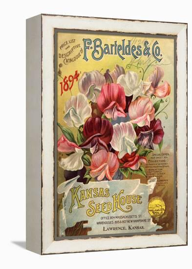 Seed Catalog Captions (2012): F. Barteldes and Co. Price List and Descriptive Catalogue-null-Framed Stretched Canvas