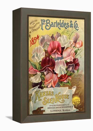 Seed Catalog Captions (2012): F. Barteldes and Co. Price List and Descriptive Catalogue-null-Framed Stretched Canvas