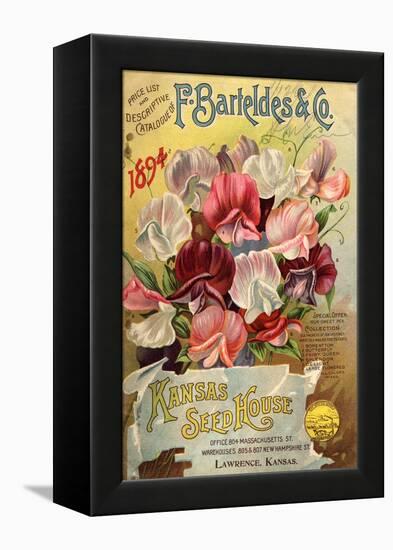 Seed Catalog Captions (2012): F. Barteldes and Co. Price List and Descriptive Catalogue-null-Framed Stretched Canvas