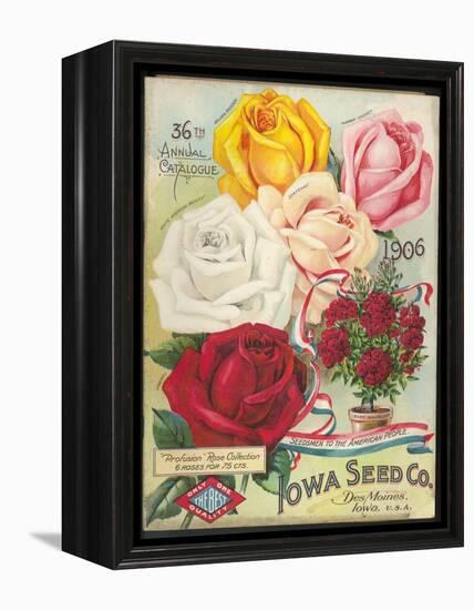 Seed Catalog Captions (2012): Iowa Seed Co. Des Moines, Iowa. 36th Annual Catalogue, 1906-null-Framed Stretched Canvas