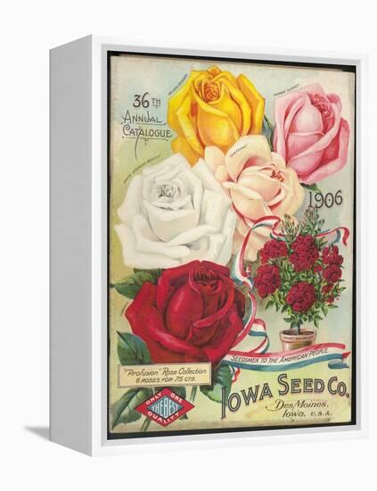 Seed Catalog Captions (2012): Iowa Seed Co. Des Moines, Iowa. 36th Annual Catalogue, 1906-null-Framed Stretched Canvas