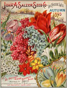 Flowers Vintage Prints Paintings Wall Art Art Com