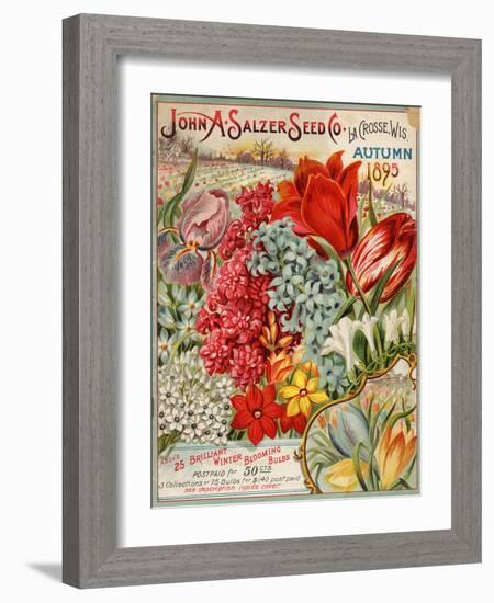 Seed Catalog Captions (2012): John A. Salzer Seed Co. La Crosse, Wisconsin, Autumn 1895-null-Framed Art Print