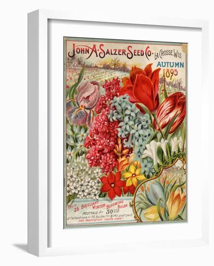 Seed Catalog Captions (2012): John A. Salzer Seed Co. La Crosse, Wisconsin, Autumn 1895-null-Framed Art Print