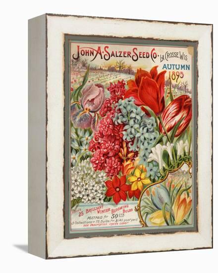 Seed Catalog Captions (2012): John A. Salzer Seed Co. La Crosse, Wisconsin, Autumn 1895-null-Framed Stretched Canvas