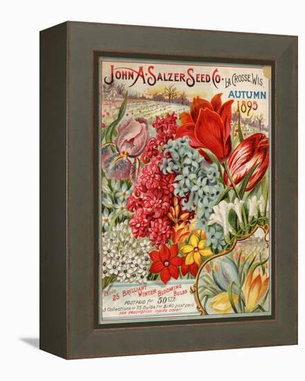 Seed Catalog Captions (2012): John A. Salzer Seed Co. La Crosse, Wisconsin, Autumn 1895-null-Framed Stretched Canvas