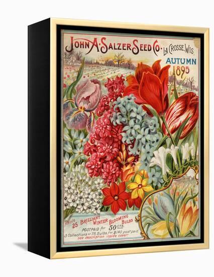 Seed Catalog Captions (2012): John A. Salzer Seed Co. La Crosse, Wisconsin, Autumn 1895-null-Framed Stretched Canvas