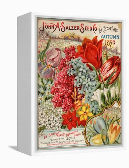 Seed Catalog Captions (2012): John A. Salzer Seed Co. La Crosse, Wisconsin, Autumn 1895-null-Framed Stretched Canvas