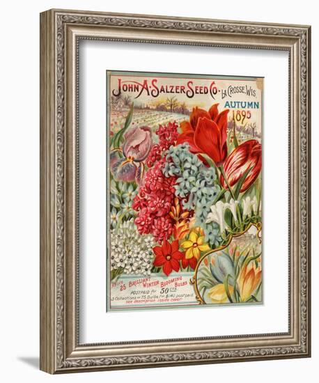 Seed Catalog Captions (2012): John A. Salzer Seed Co. La Crosse, Wisconsin, Autumn 1895-null-Framed Art Print