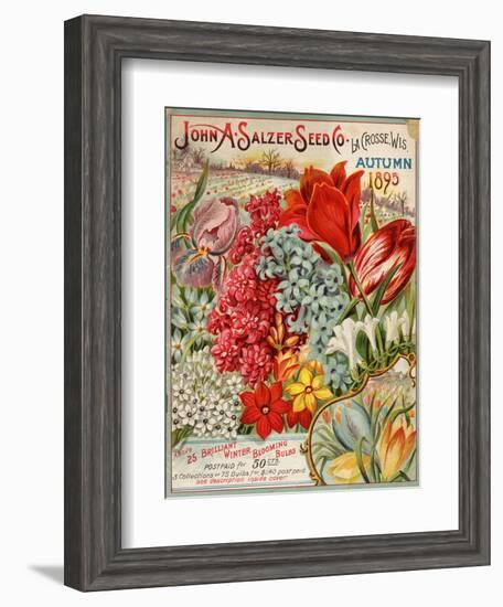 Seed Catalog Captions (2012): John A. Salzer Seed Co. La Crosse, Wisconsin, Autumn 1895-null-Framed Art Print