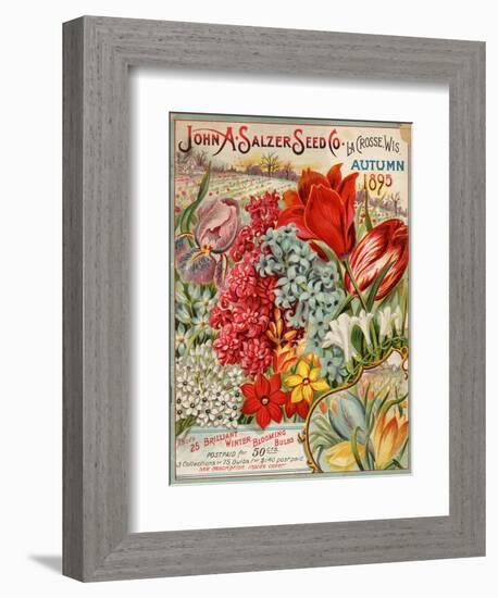 Seed Catalog Captions (2012): John A. Salzer Seed Co. La Crosse, Wisconsin, Autumn 1895-null-Framed Art Print