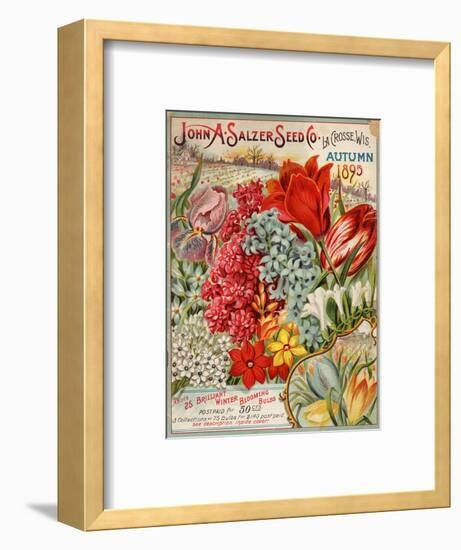 Seed Catalog Captions (2012): John A. Salzer Seed Co. La Crosse, Wisconsin, Autumn 1895-null-Framed Art Print