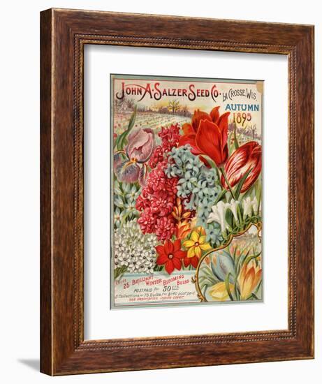 Seed Catalog Captions (2012): John A. Salzer Seed Co. La Crosse, Wisconsin, Autumn 1895-null-Framed Art Print