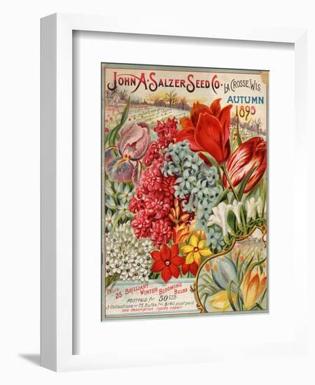 Seed Catalog Captions (2012): John A. Salzer Seed Co. La Crosse, Wisconsin, Autumn 1895-null-Framed Art Print