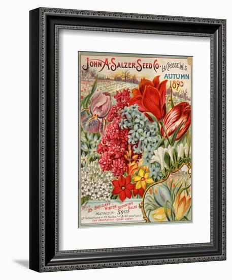 Seed Catalog Captions (2012): John A. Salzer Seed Co. La Crosse, Wisconsin, Autumn 1895-null-Framed Art Print