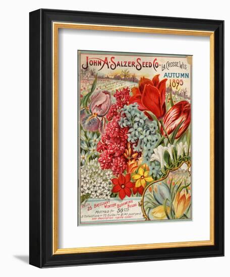 Seed Catalog Captions (2012): John A. Salzer Seed Co. La Crosse, Wisconsin, Autumn 1895-null-Framed Art Print