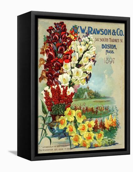 Seed Catalog Captions (2012): W.W. Rawson and Co, Boston, Massachusetts, 1897-null-Framed Stretched Canvas