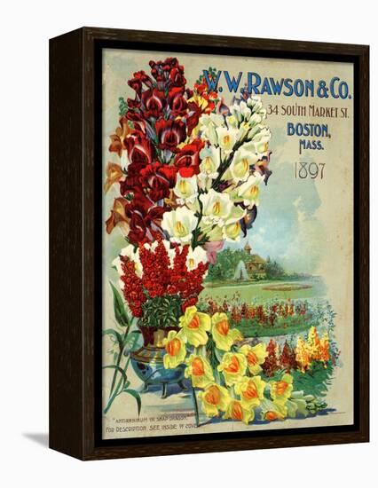 Seed Catalog Captions (2012): W.W. Rawson and Co, Boston, Massachusetts, 1897-null-Framed Stretched Canvas