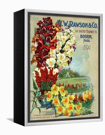 Seed Catalog Captions (2012): W.W. Rawson and Co, Boston, Massachusetts, 1897-null-Framed Stretched Canvas