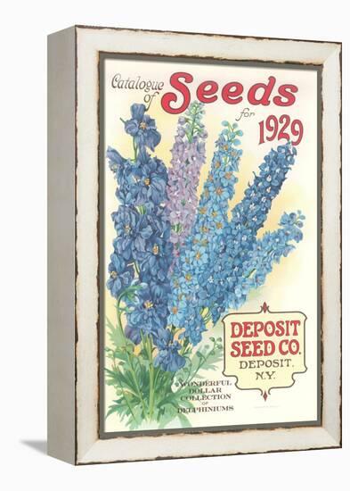 Seed Catalogue with Delphiniums-null-Framed Stretched Canvas