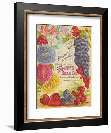 Seed Catalogues: Farmer Seed Co. Farm and Garden Seeds, Spring 1906-null-Framed Premium Giclee Print