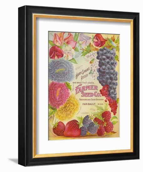 Seed Catalogues: Farmer Seed Co. Farm and Garden Seeds, Spring 1906-null-Framed Premium Giclee Print